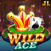 Wild Ace games apk hot